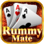 rummy nodal