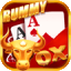 g rummy login